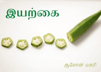 இயல்புகள்